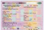 Правила въезда в Белоруссию для россиян: пересечение границы